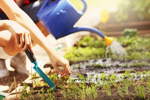 Gardeners North Ockendon maintaining a healthy local garden