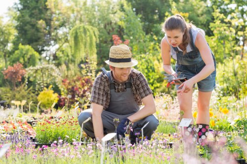 Garden clearance and pricing in North Ockendon