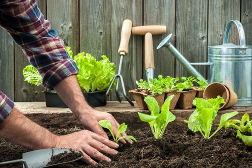 North Ockendon gardeners improving lawns and borders