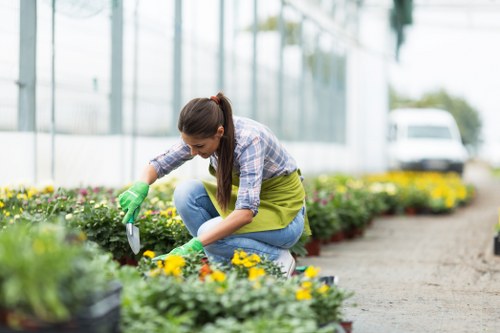 Professional garden safety standards for North Ockendon services