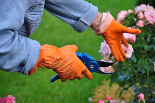Professional gardeners in North Ockendon maintaining a healthy garden