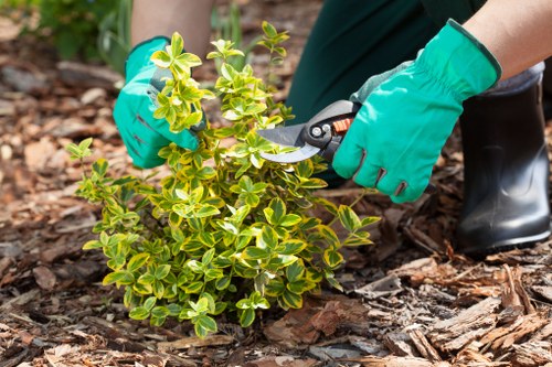 Garden maintenance in North Ockendon with a neat lawn and trimmed hedges