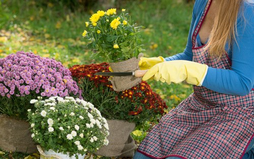 Gardening team prepared to respond calmly to an emergency