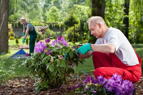 Seasonal garden maintenance tasks in North Ockendon with flower beds and plants
