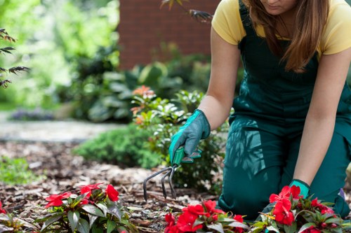 Seasonal garden care and planting in North Ockendon