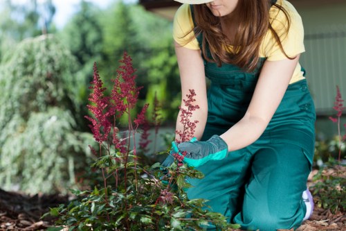 Risk assessment process used by Gardeners North Ockendon on-site