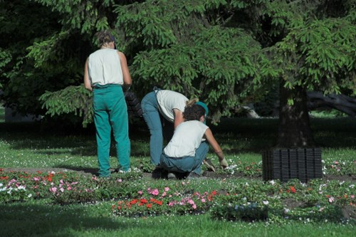 Seasonal lawn mowing service in North Ockendon supporting healthy grass