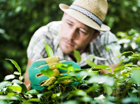 Cancellation and rescheduling terms for garden maintenance services
