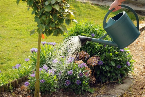 Clean and even hedge maintenance in North Ockendon