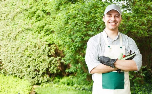 Local gardener providing lawn and hedge maintenance in North Ockendon
