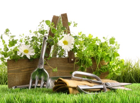 Skilled gardeners North Ockendon shaping a family garden