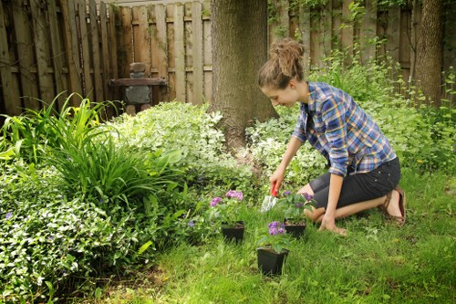 Reviewing a gardening issue after service completion