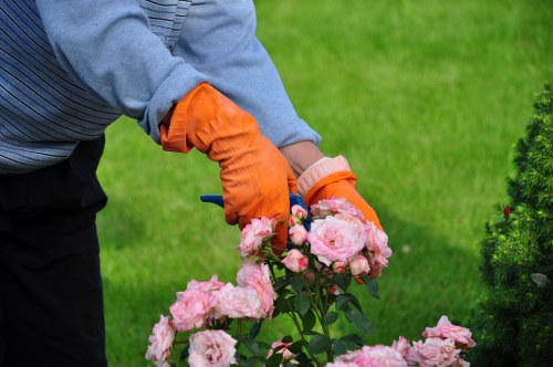 Removing old garden waste and structures during clearance in North Ockendon