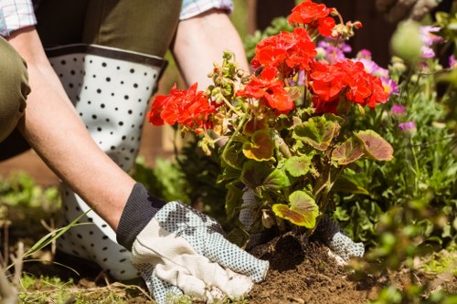 Reusable garden items being set aside for charity partnership