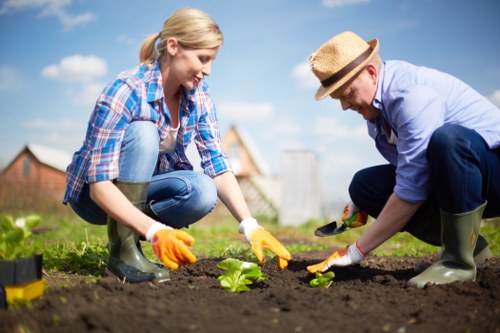 Illustration representing cookie retention and policy updates for Gardeners North Ockendon