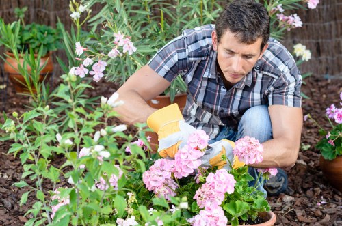 Professional grass cutting in North Ockendon during seasonal lawn care
